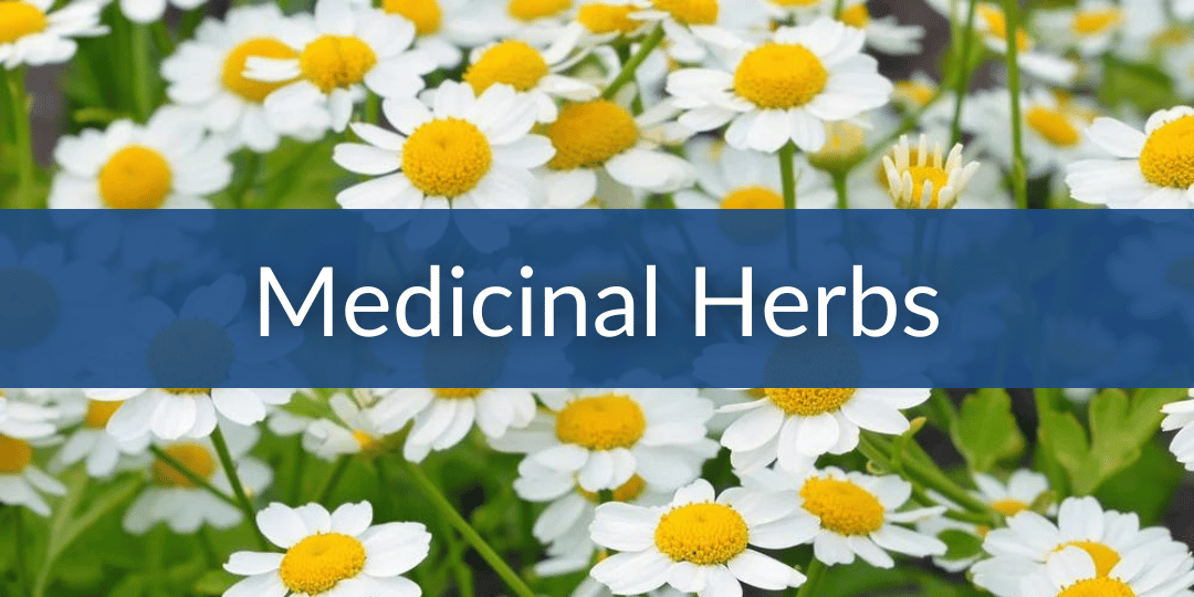 Mobile Medicinal Herbs.png__PID:a7f482f9-d1f9-4a23-8365-0cc079d029cf