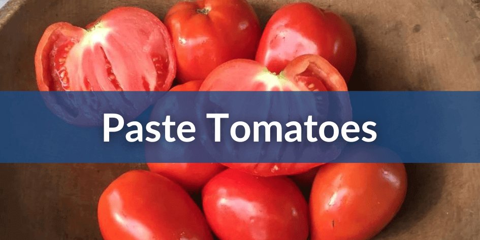 Mobile Paste Tomatoes (1).png__PID:79bee21a-6e3a-451e-a219-839f57e1dfe5