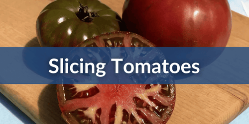 Slicing Tomatoes – Hudson Valley Seed Company