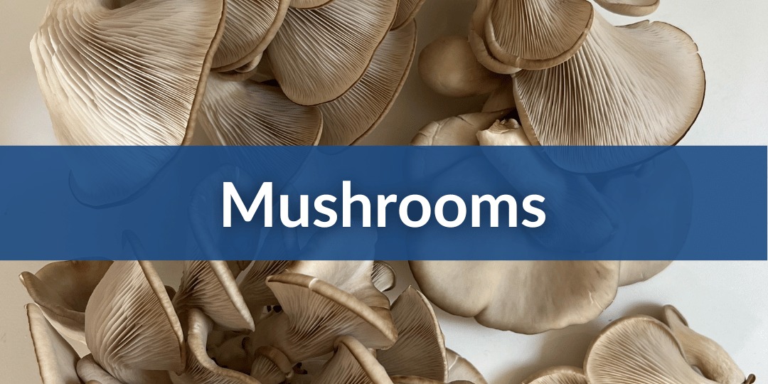 Mushrooms.png__PID:95f01e4c-74a1-43e9-9204-016832b8f1c4