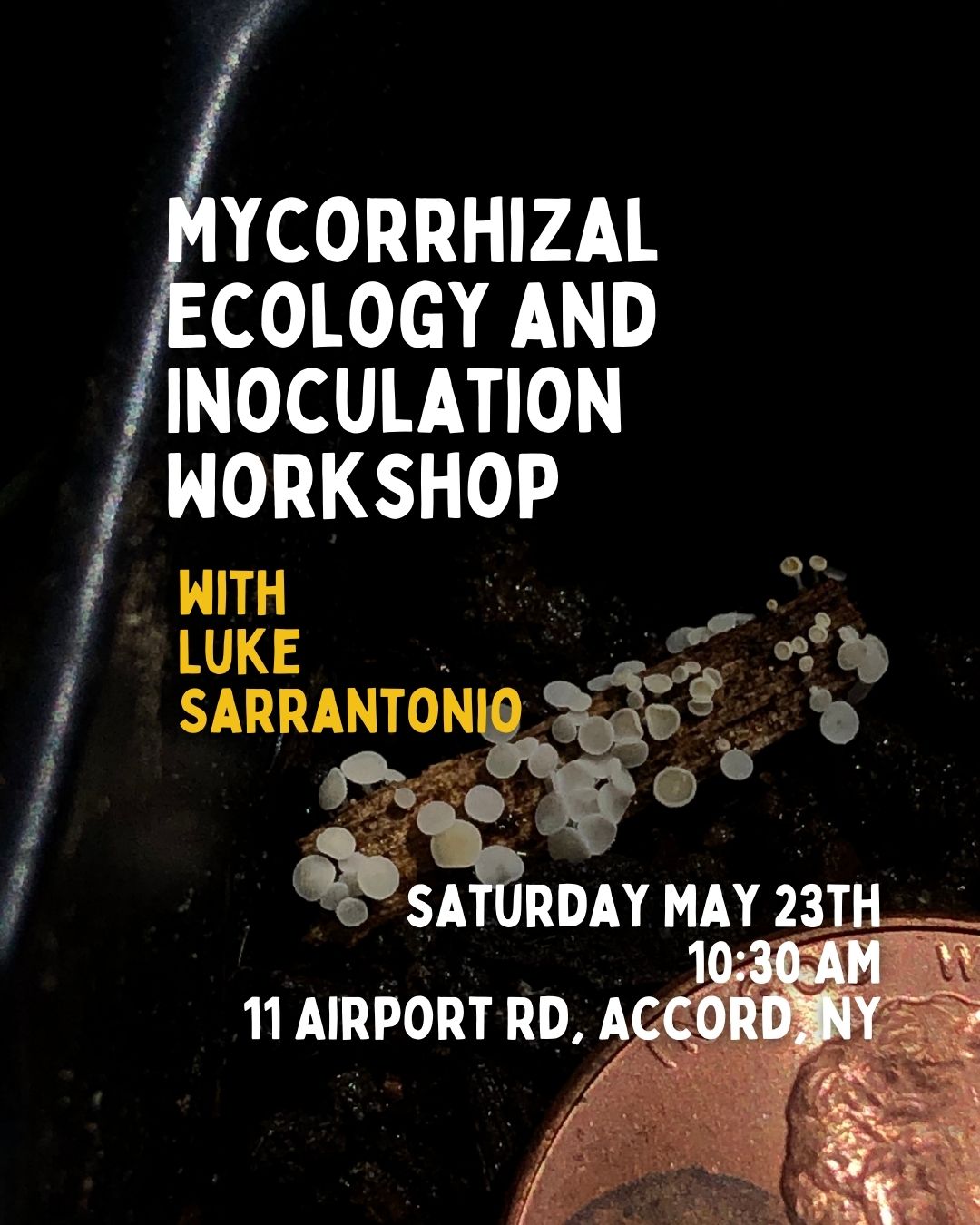 Mycorrhizal Ecology &amp; Inoculation Workshop 5/23 - 10:30AM