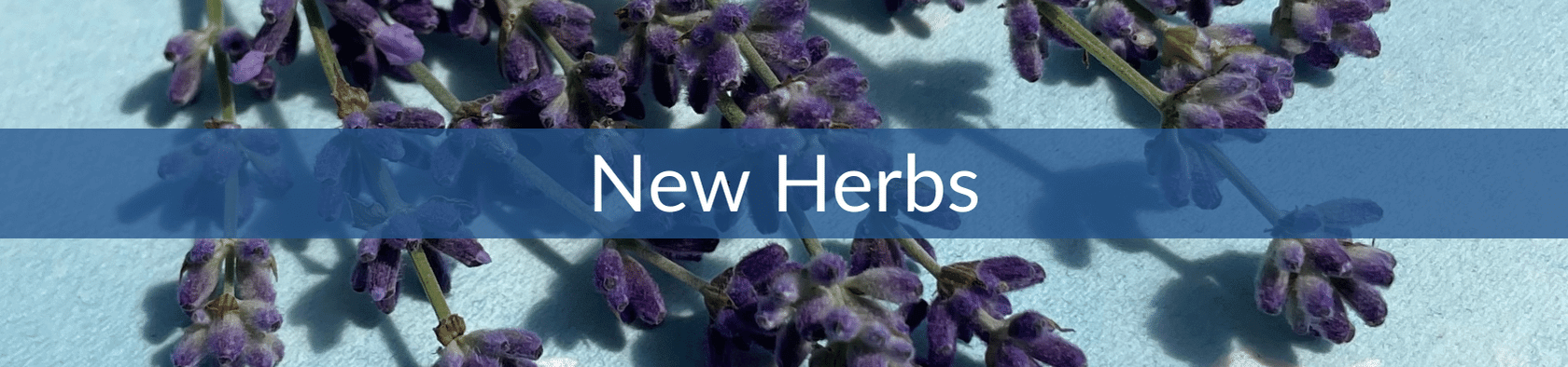 New Herbs 2024 (1).png__PID:86425aca-a78d-4ea7-9acb-b84a860c04a8