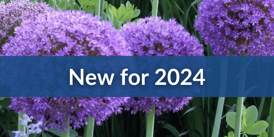 New for 2024 Fall Bulbs.png__PID:9d4d3cd7-76f5-4b03-a9e8-ee78dd6203e7