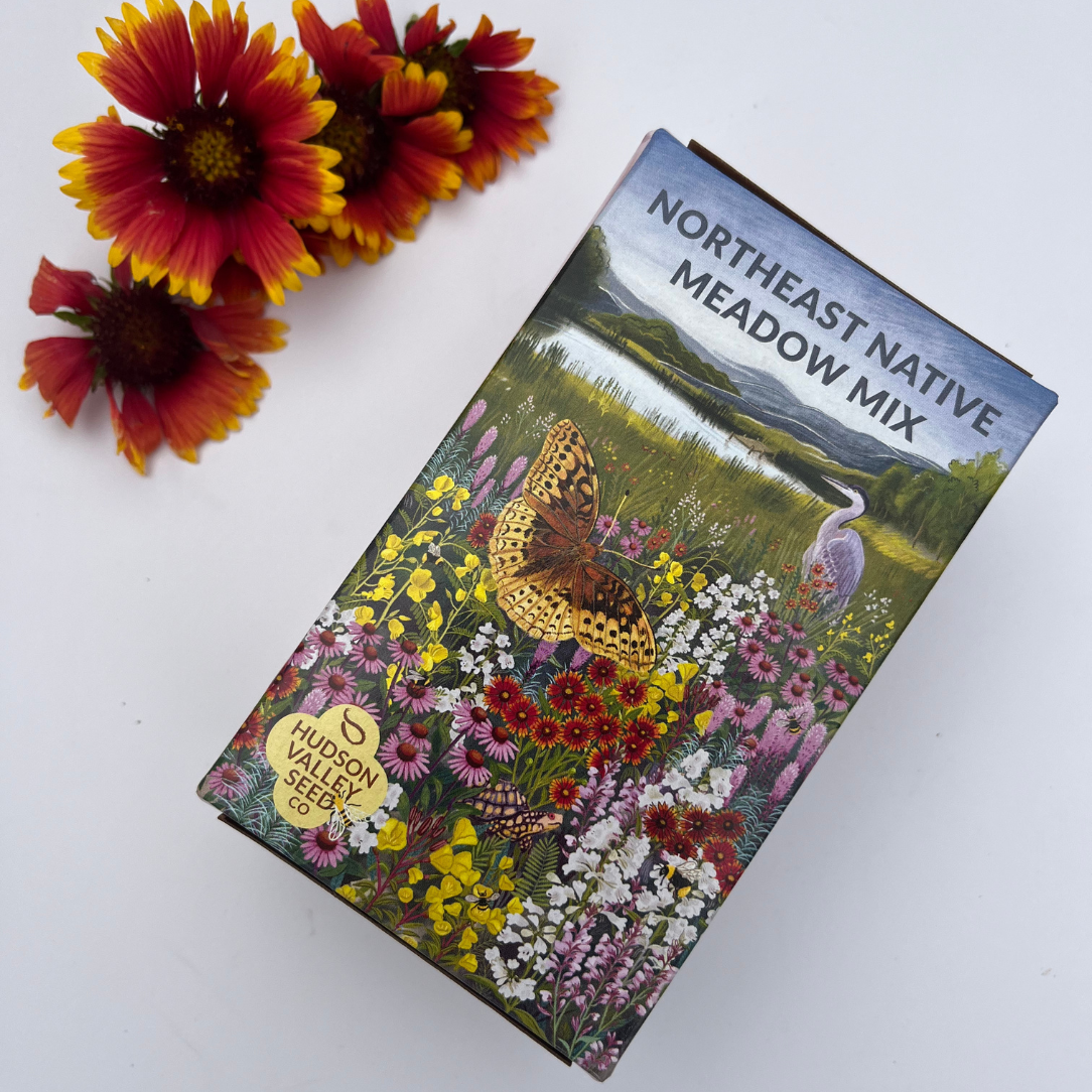 Northeast Native Wildflower Mix Seed Shaker