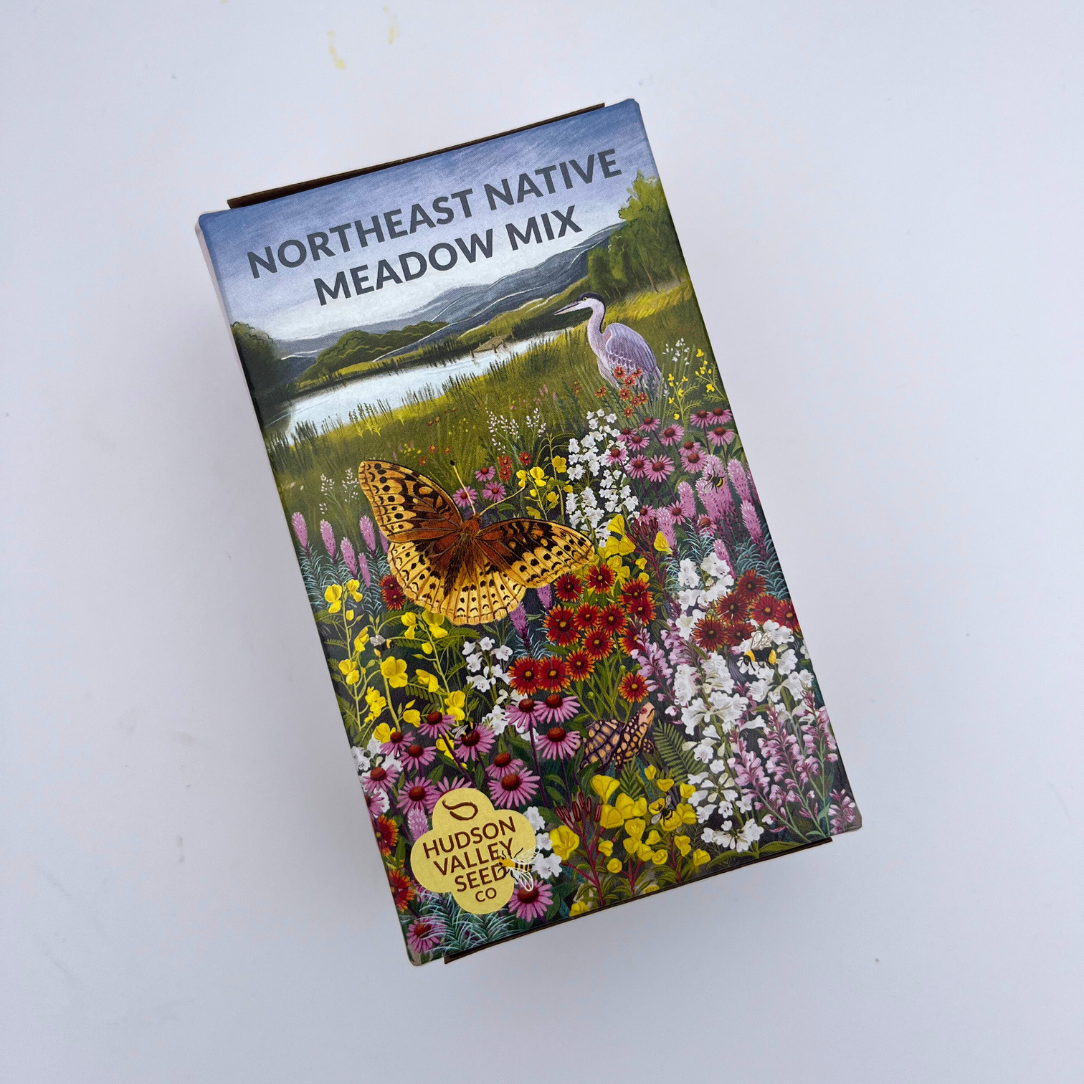 Northeast Native Wildflower Mix Seed Shaker – Hudson Valley Seed Company