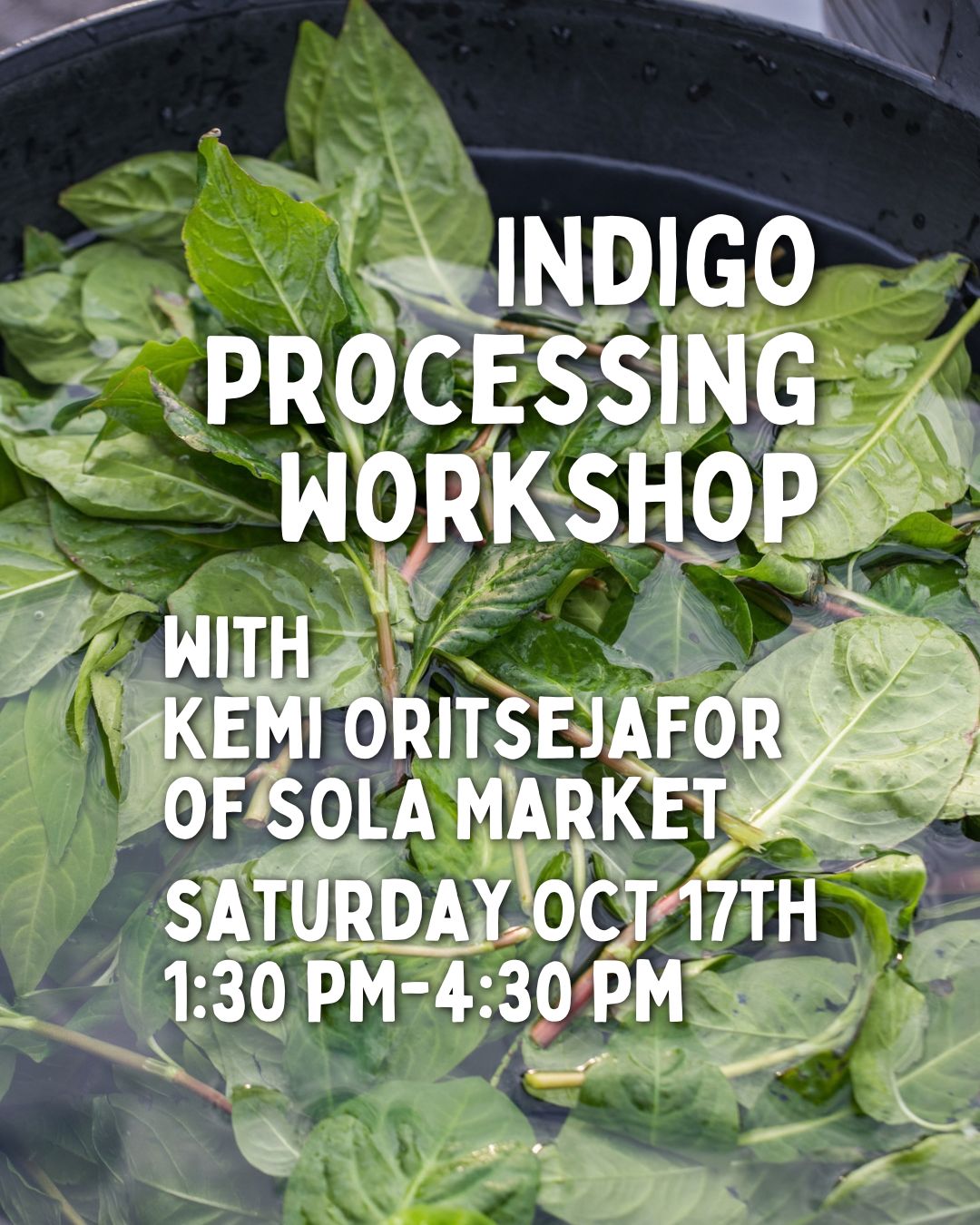 Indigo Processing with Sola Market - Oct 17 - 1:30pm