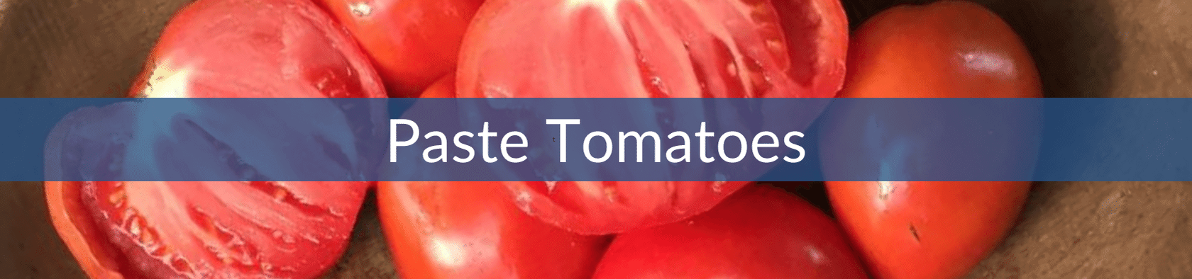 Pasting Tomatoes (1).png__PID:e21a6e3a-051e-4219-839f-57e1dfe59b3e