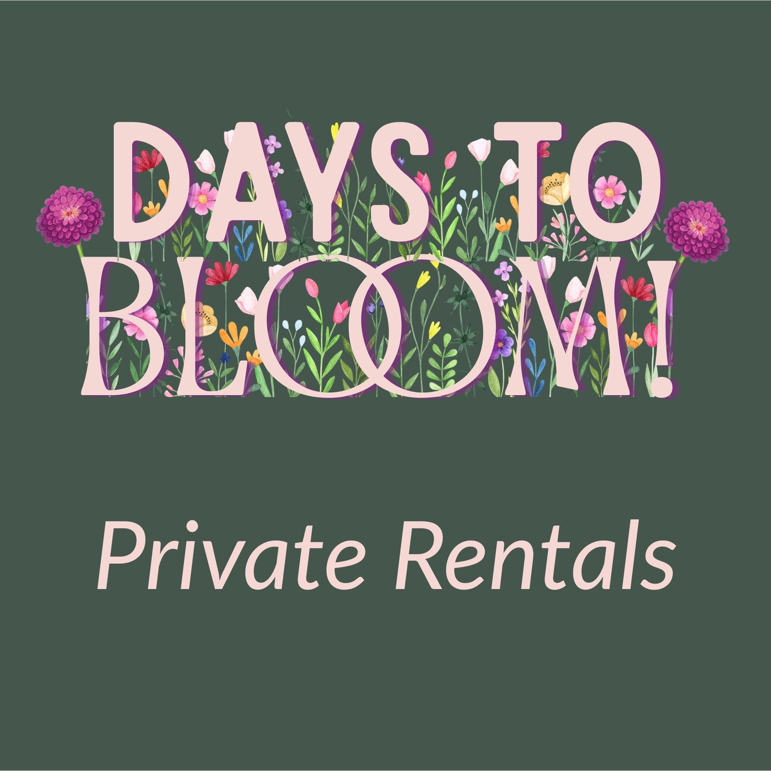 Private Rental of our Gardens