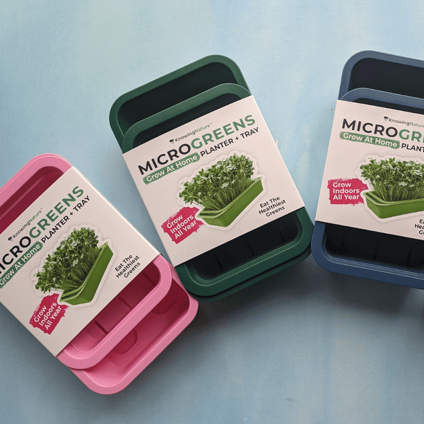 Microgreens Starter Kit