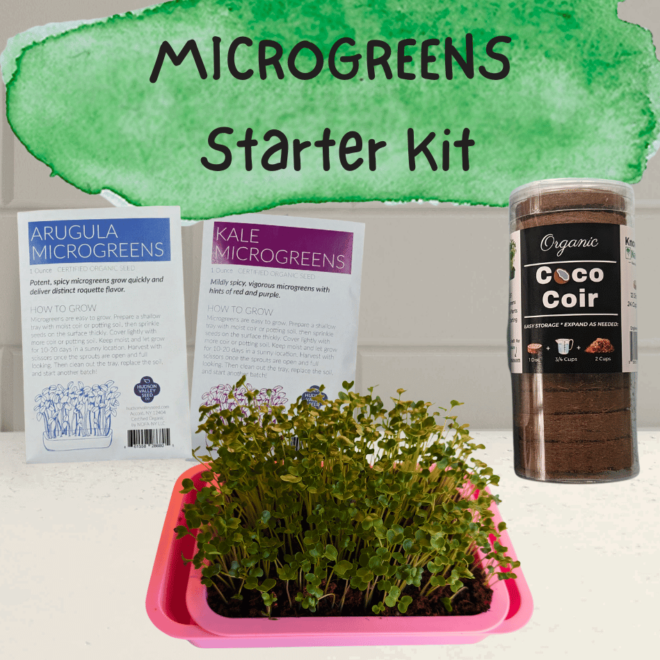 Growing Microgreens with Corinne Hansch of Lovin&