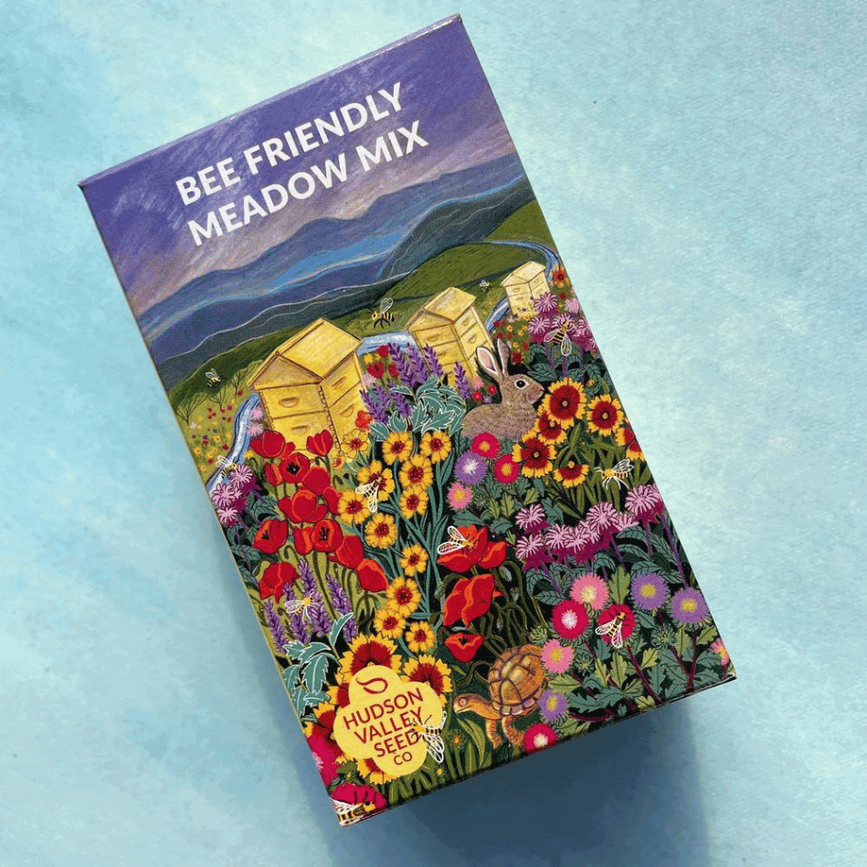 Pollinators at Home Set