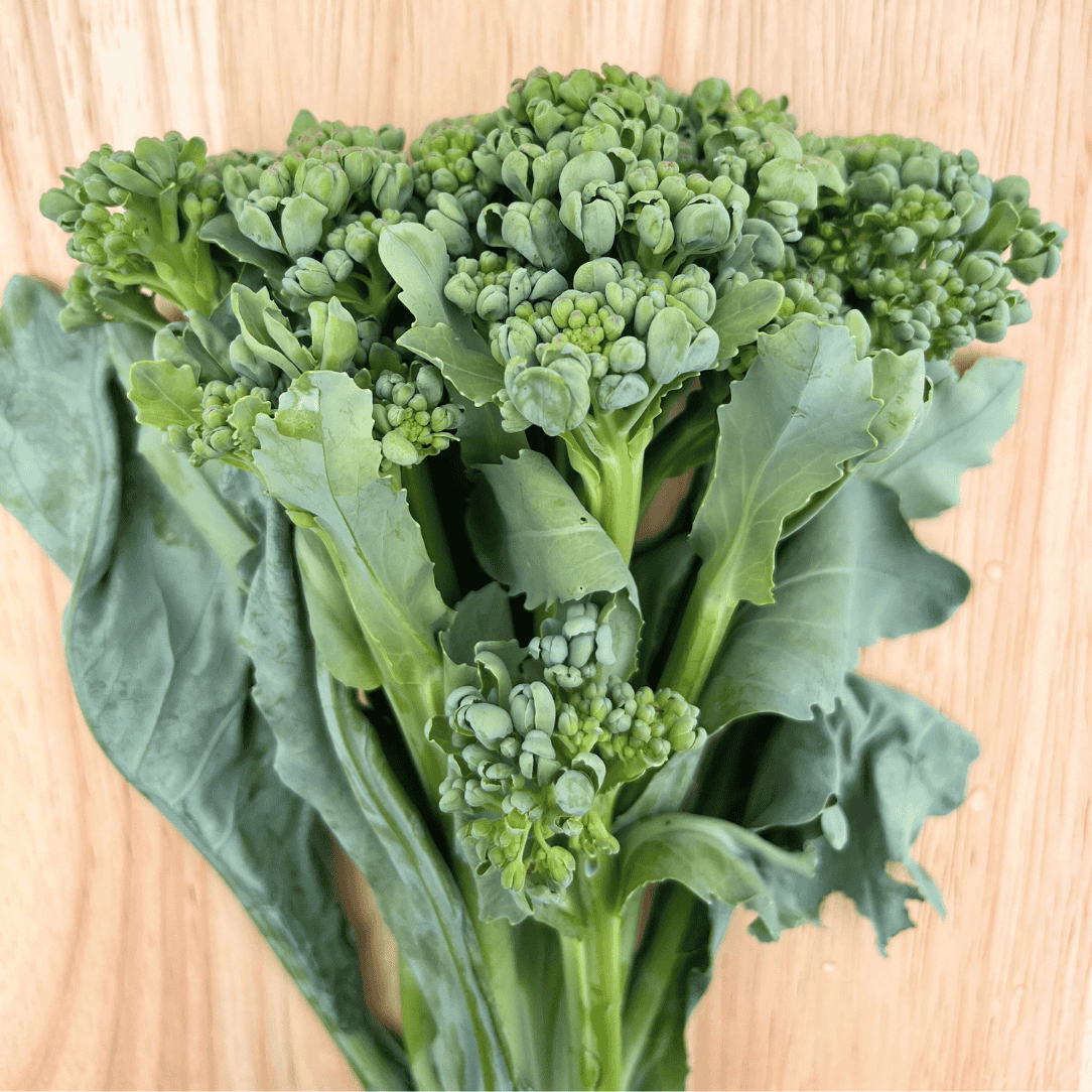 Piracicaba Broccoli