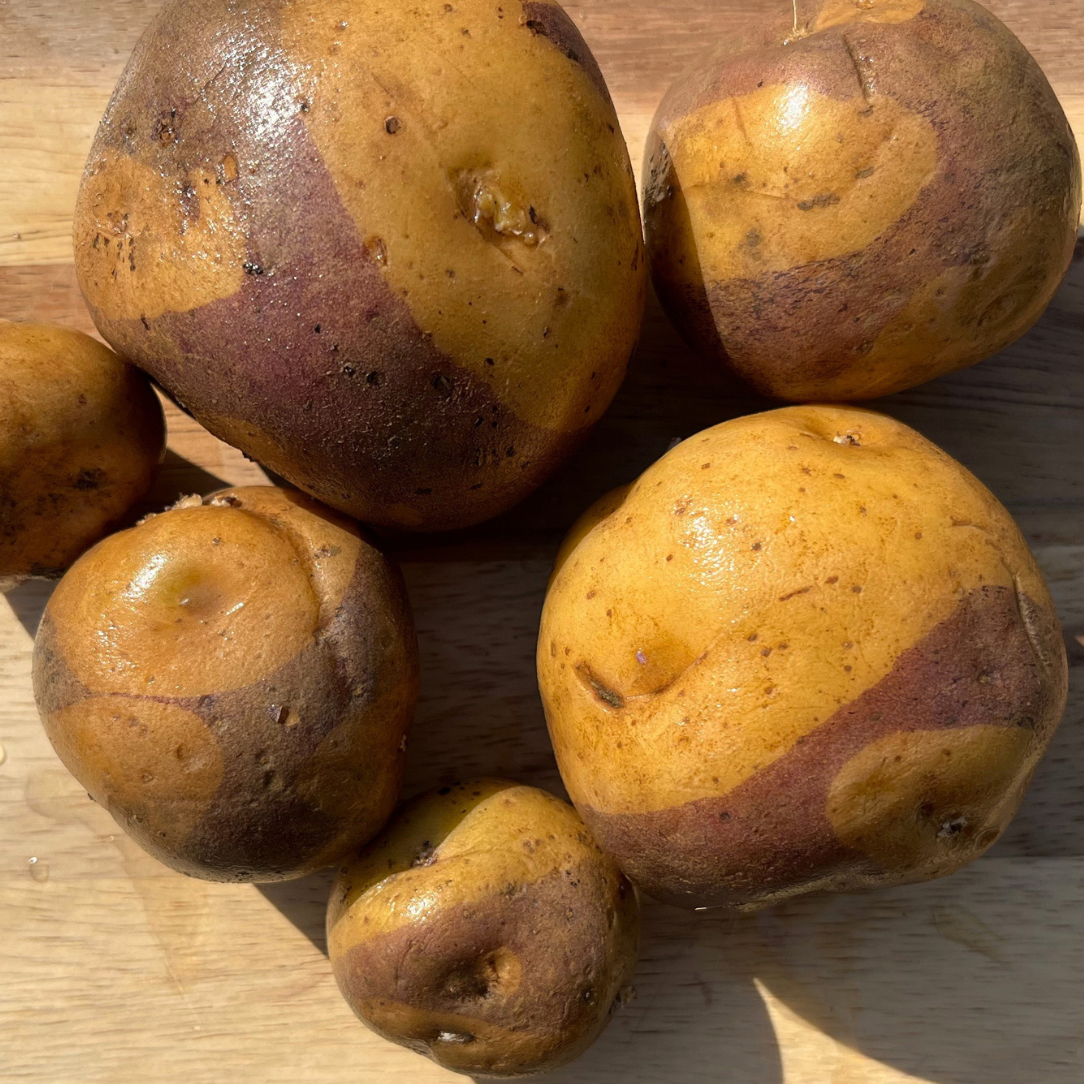 Masquerade Potato