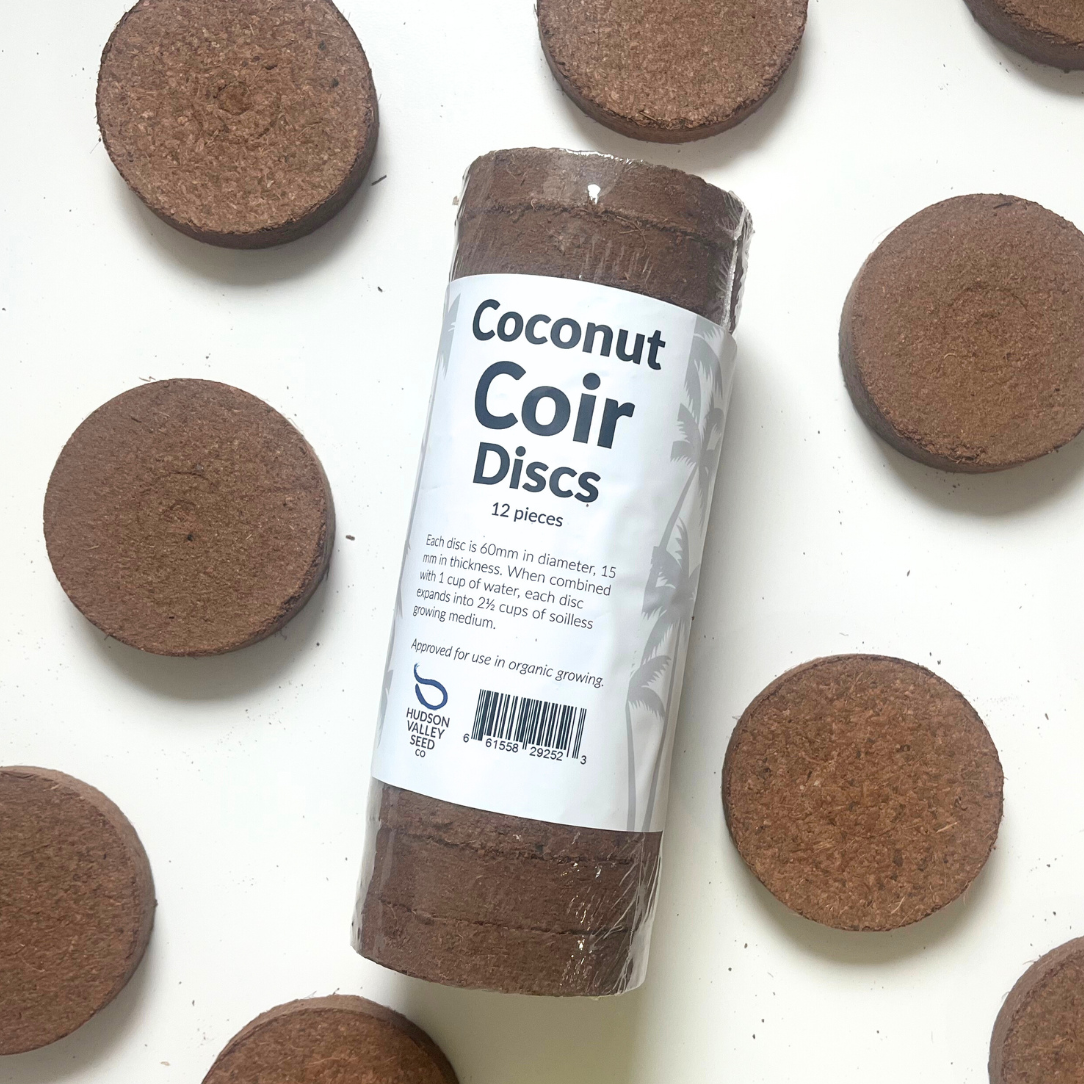 Coir Discs - Set of 12