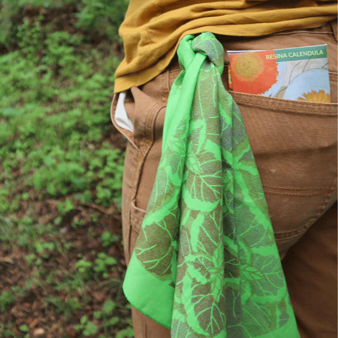 Coleus Bandana