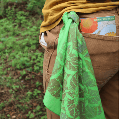 Coleus Bandana