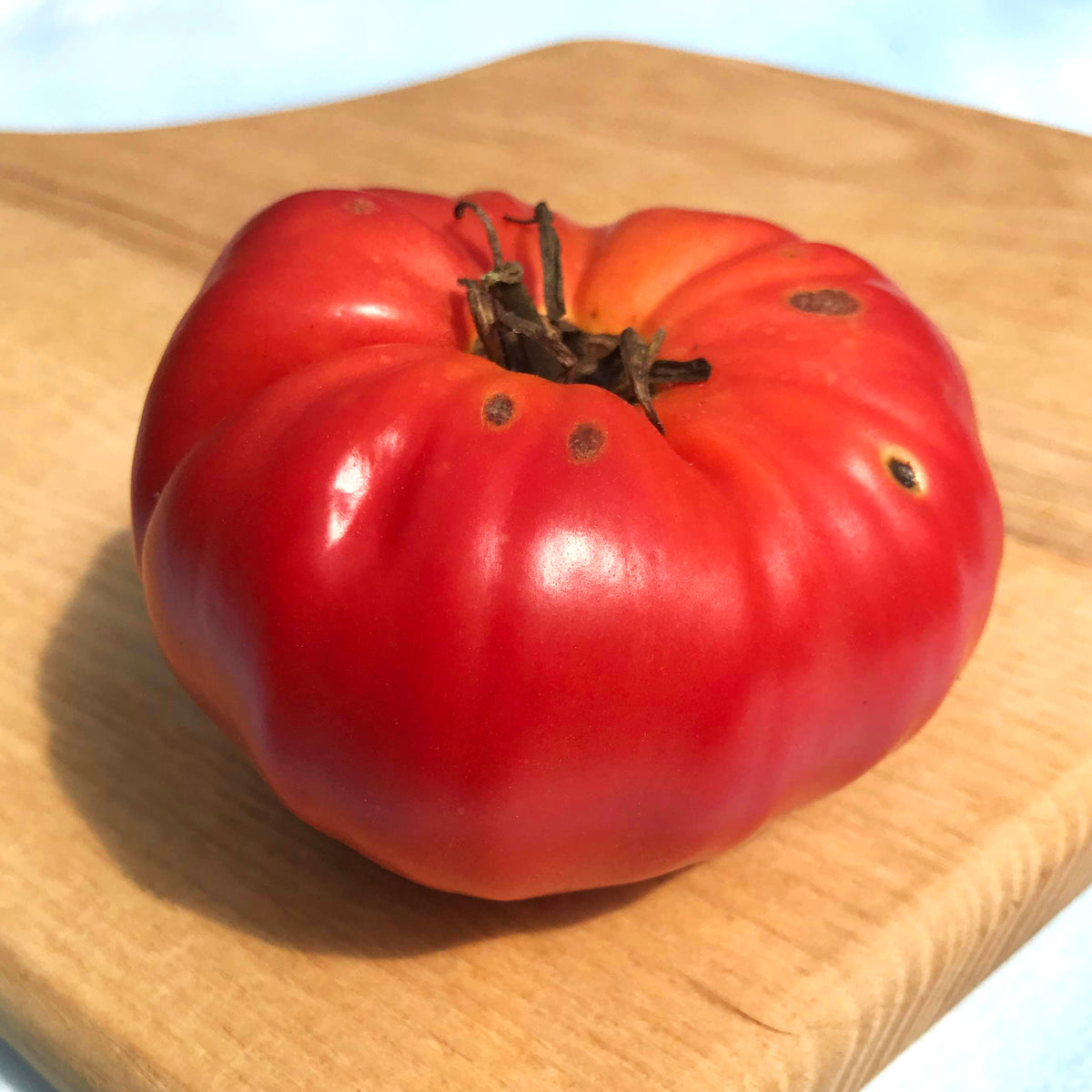 Prudens Purple Tomato