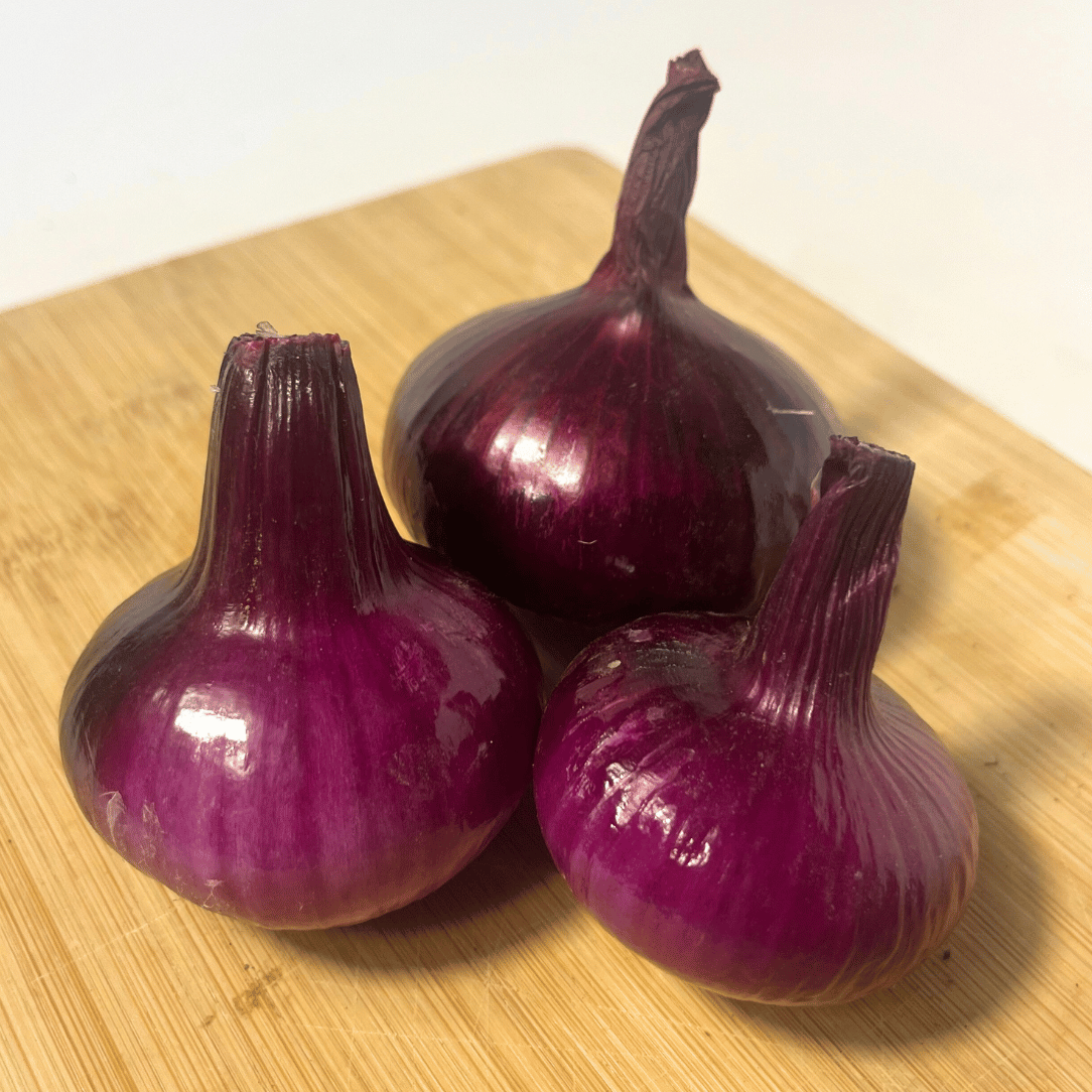 Red Geneva Cipollini Onion