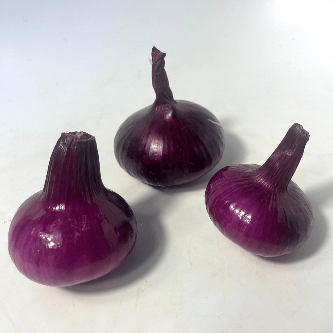 Red Geneva Cipollini Onion