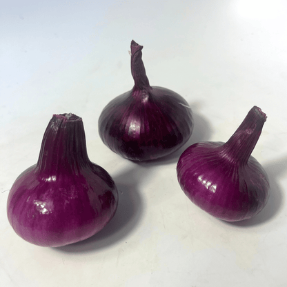 Red Geneva Cipollini Onion