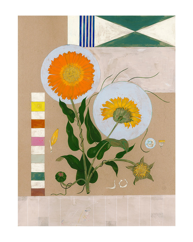 Resina Calendula Fine Art Poster