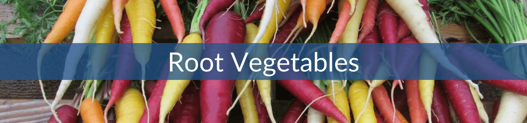 Root Vegetables (1).png__PID:c9788caf-d374-45df-9180-9bb4af4aa1ba