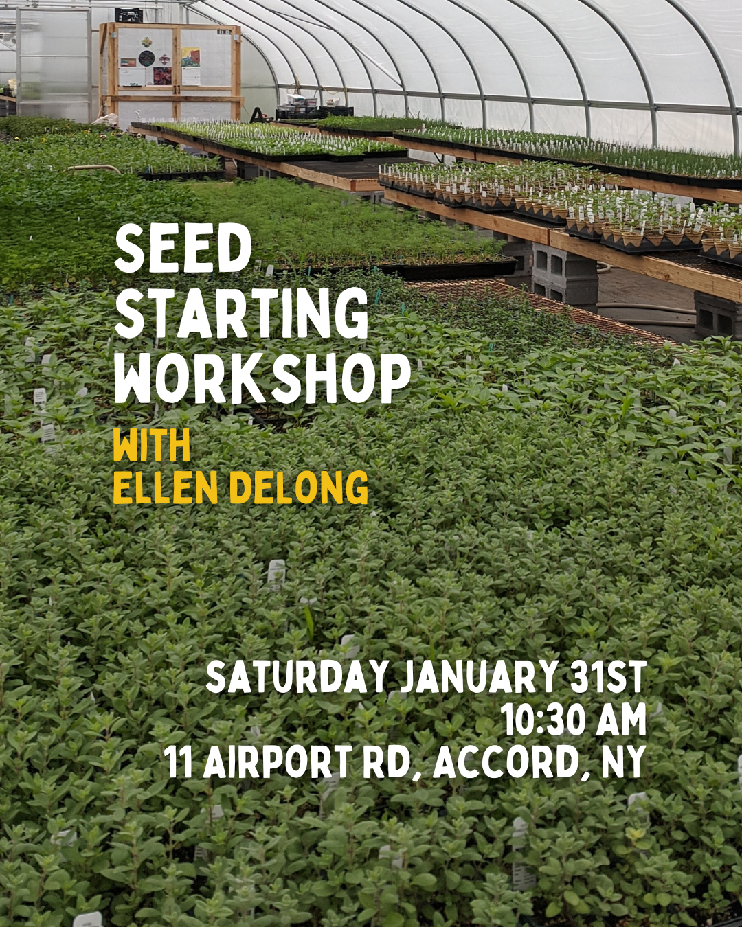 Seed Starting Workshop with Ellen DeLong - 1/31 - 10:30AM