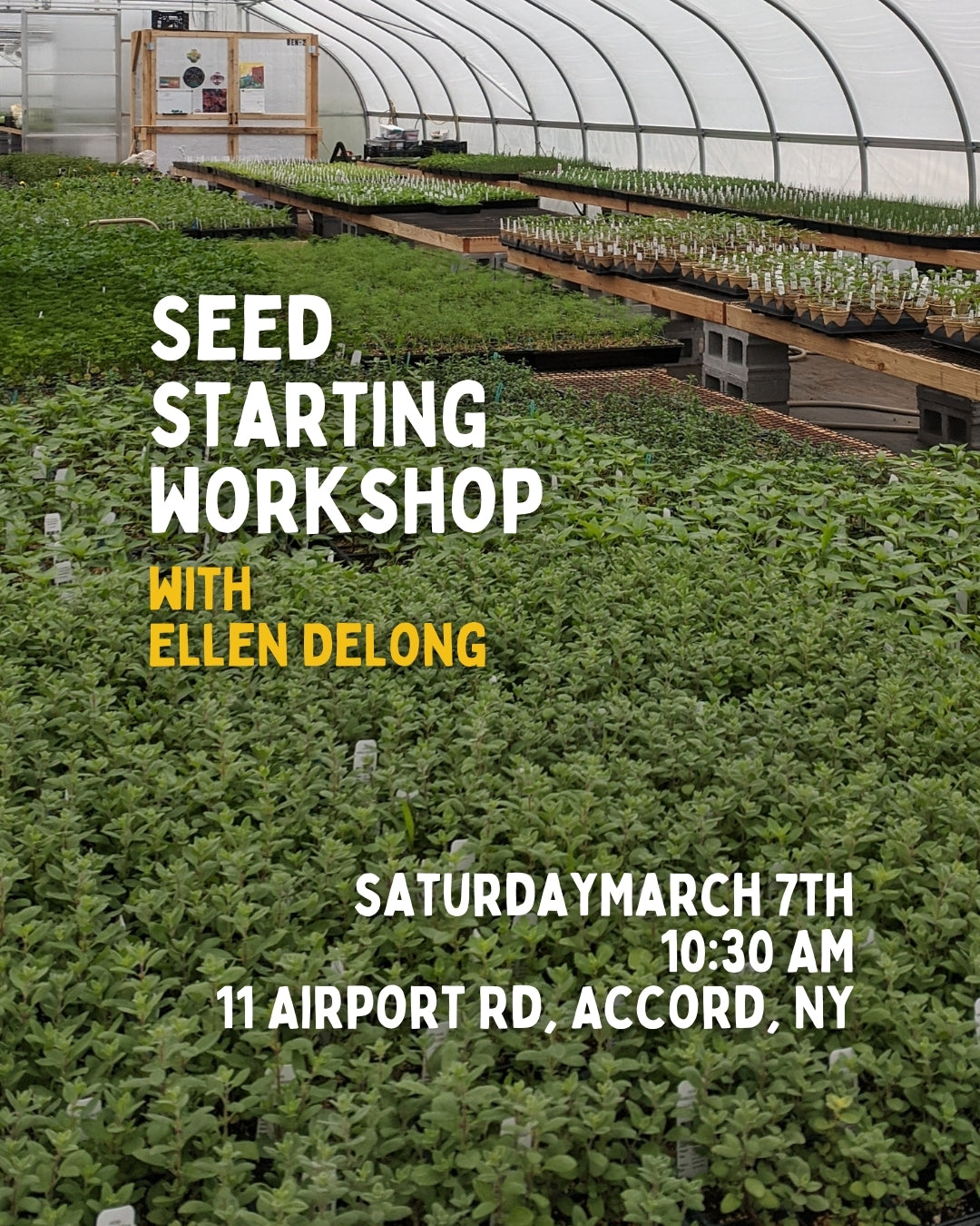 Seed Starting Workshop with Ellen DeLong 3/7 10:30am