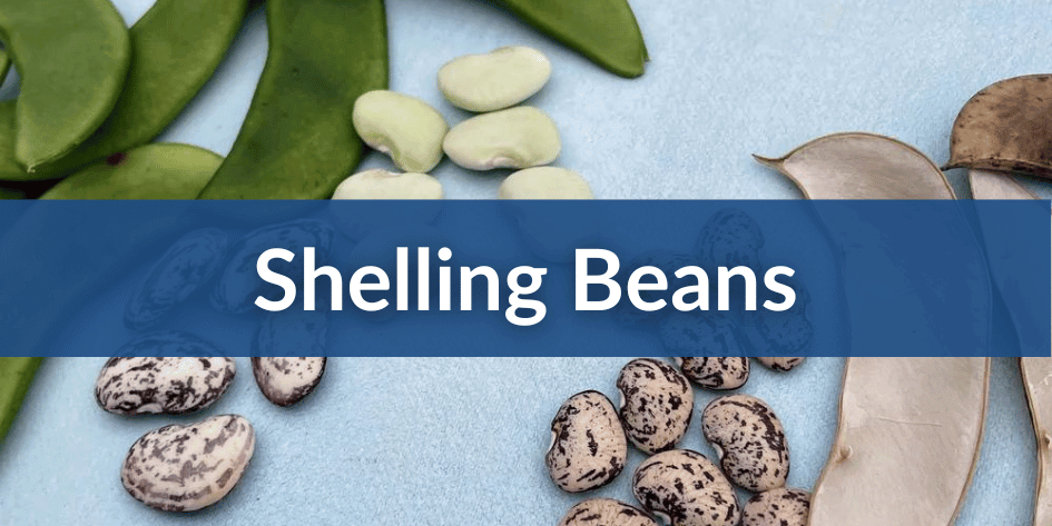 Shelling Beans Mobile (2) (1).png__PID:e170c51c-f8fd-4aeb-8b1c-6ab1cd208cb9