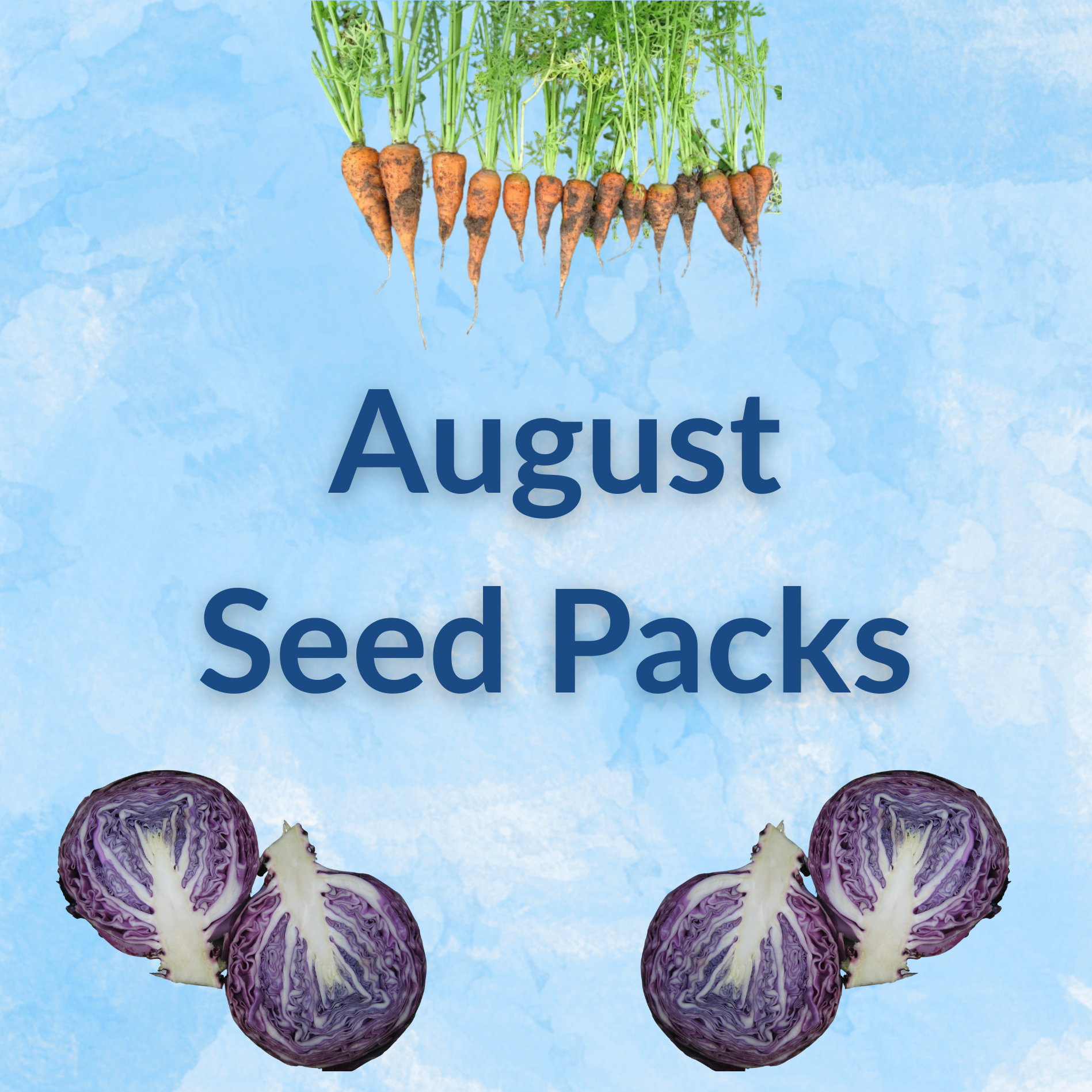 Sow by Month Bundle - August