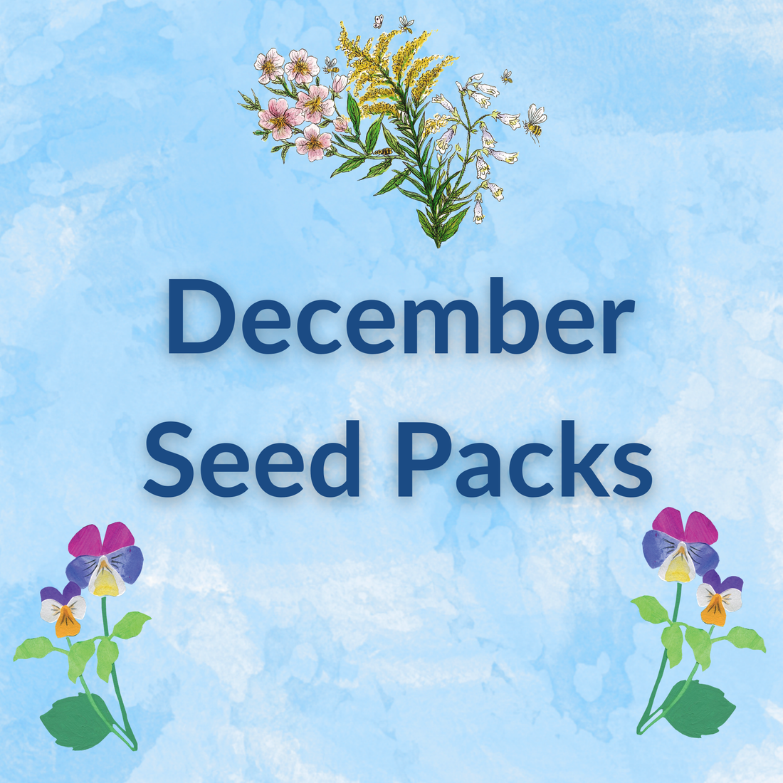 Sow by Month Bundle - December