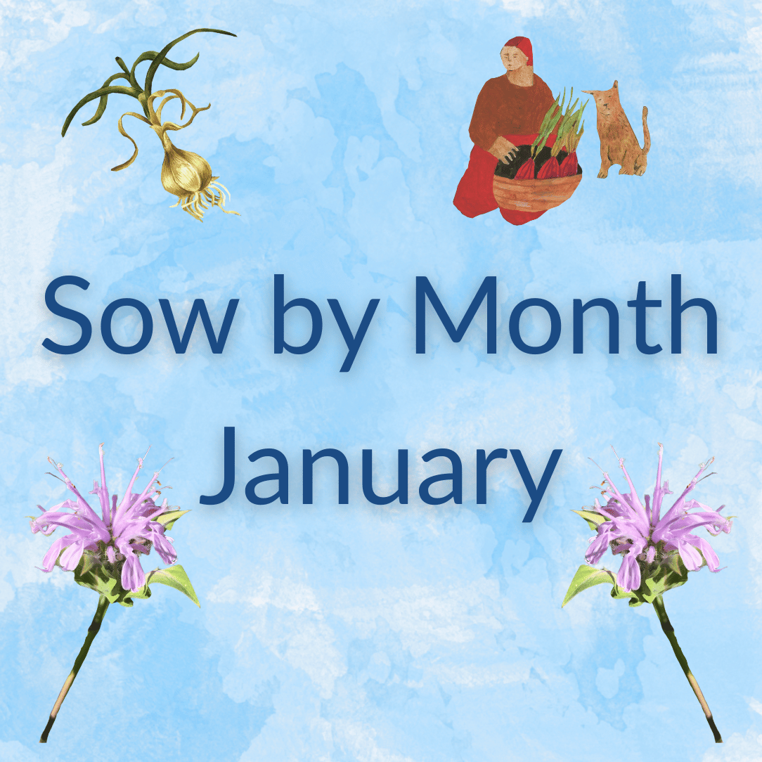 Sow by Month Bundle - January