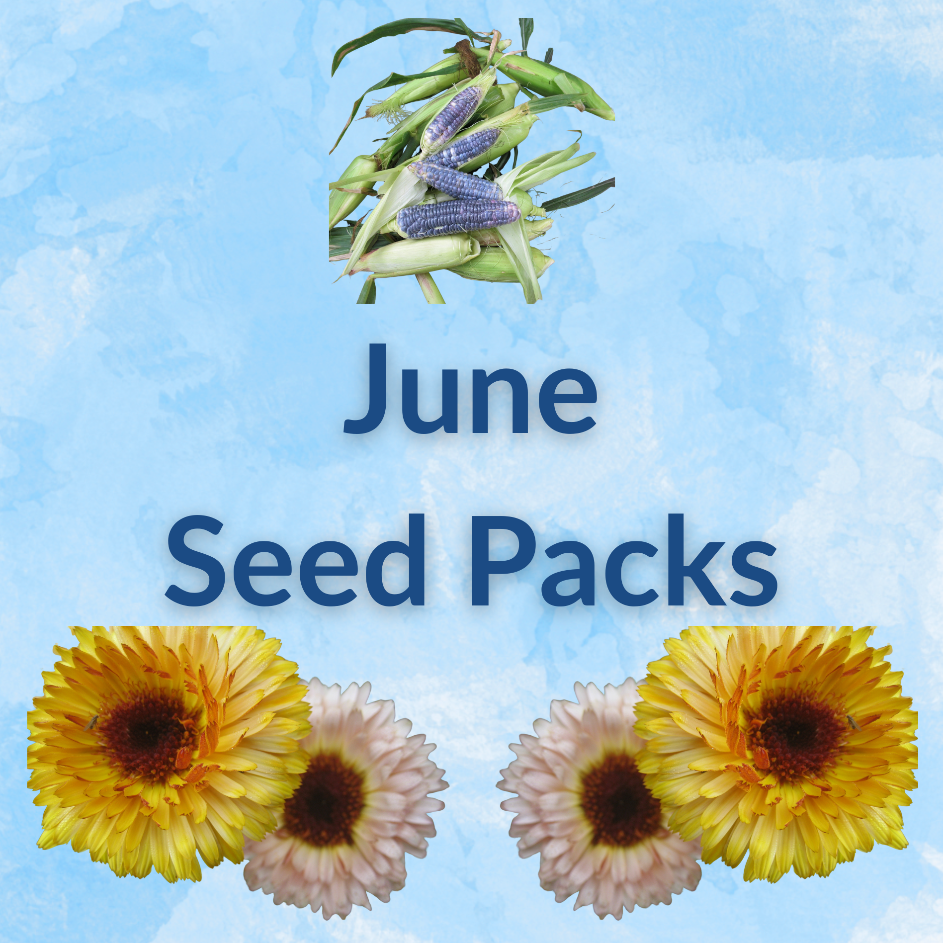 flower seeds sow june Sow by Month Bundle