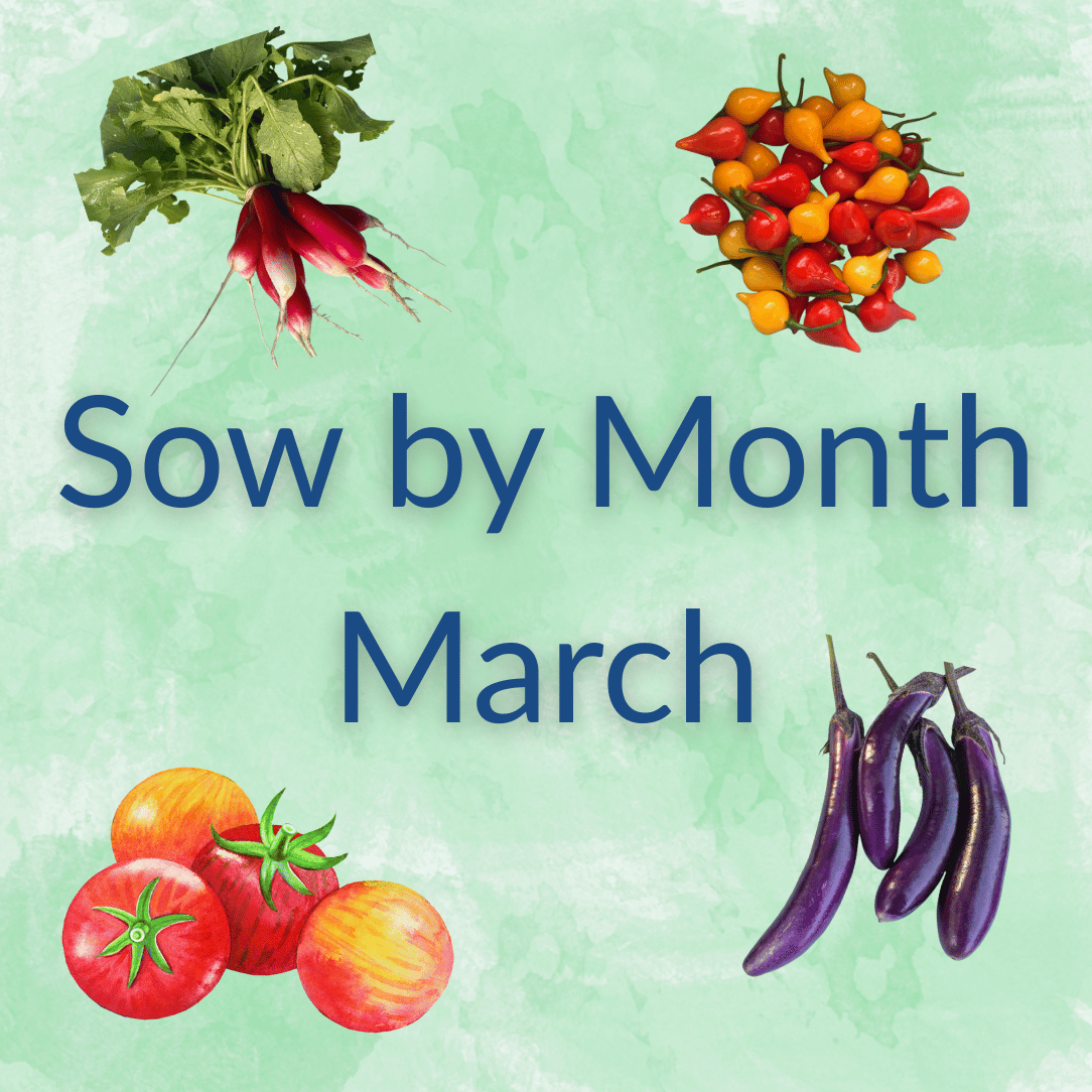 Sow by Month Bundle - March