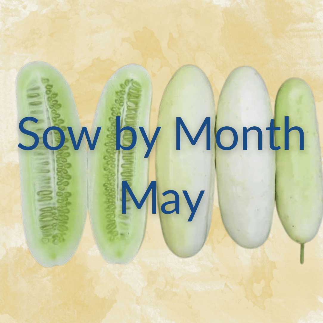 Sow by Month Bundle - May