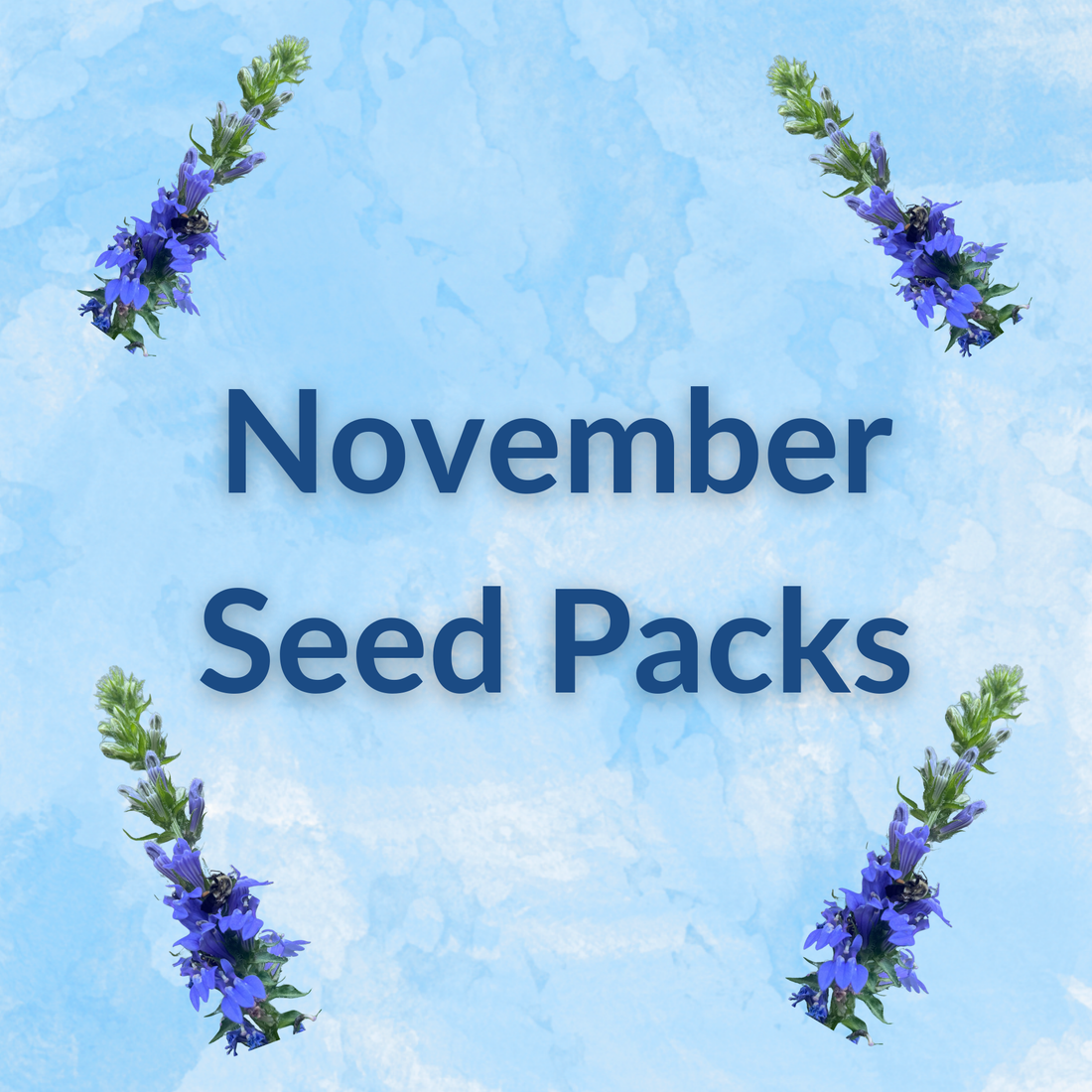 Sow by Month Bundle - November