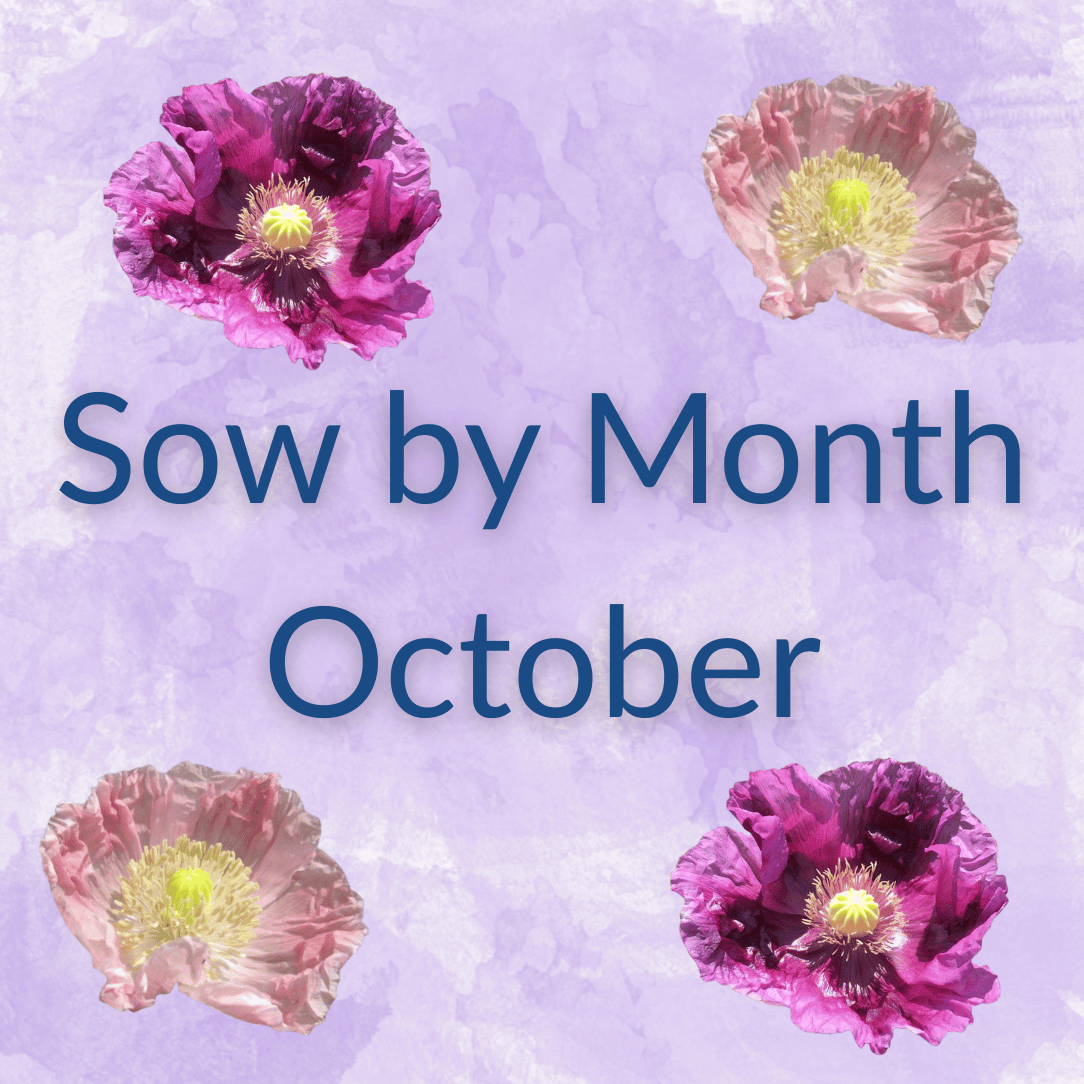 Sow by Month Bundle - October
