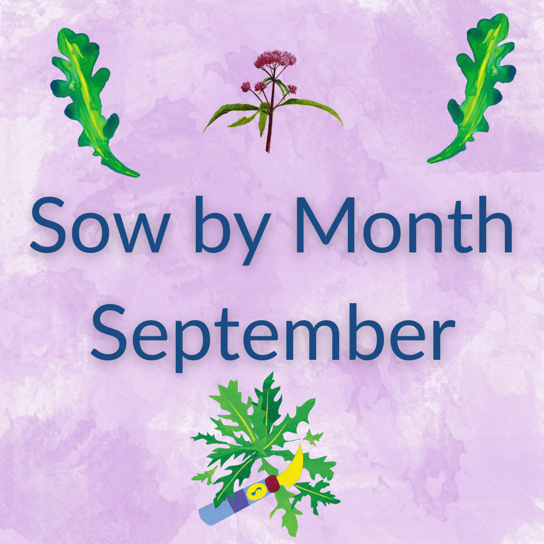 Sow by Month Bundle - September
