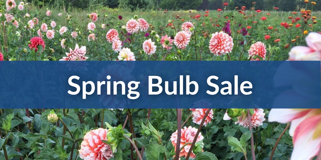 Spring Bulb Sale Mobile.png__PID:99ea7c90-258b-4333-a082-beceb2ce9a2d