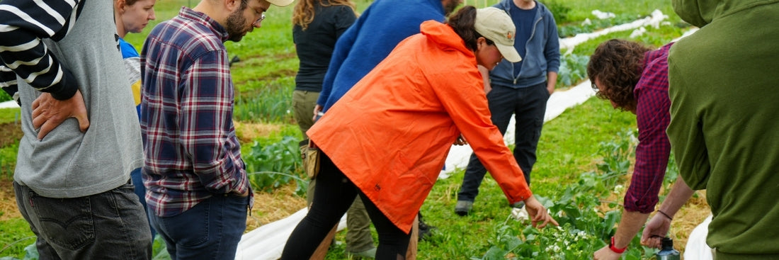 Our Team at Hudson Valley Seed Co. – Hudson Valley Seed Company