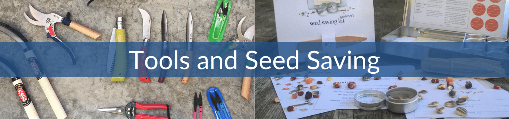 Tools and Seed Saving (2).png__PID:94aea452-45ad-45fb-a40b-dc6e386d889d