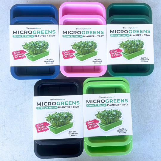 Windowsill Self-Watering Microgreens Tray