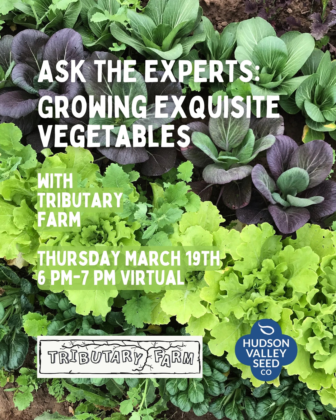 Ask The Experts: Exquisite Vegetables with Tributary Farm 3/19 - 6pm - Virtual