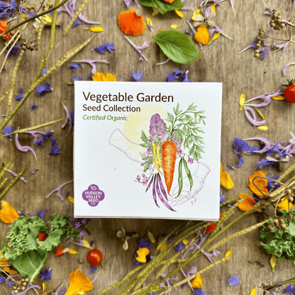 garden seed sellers Vegetable Garden Seed Collection