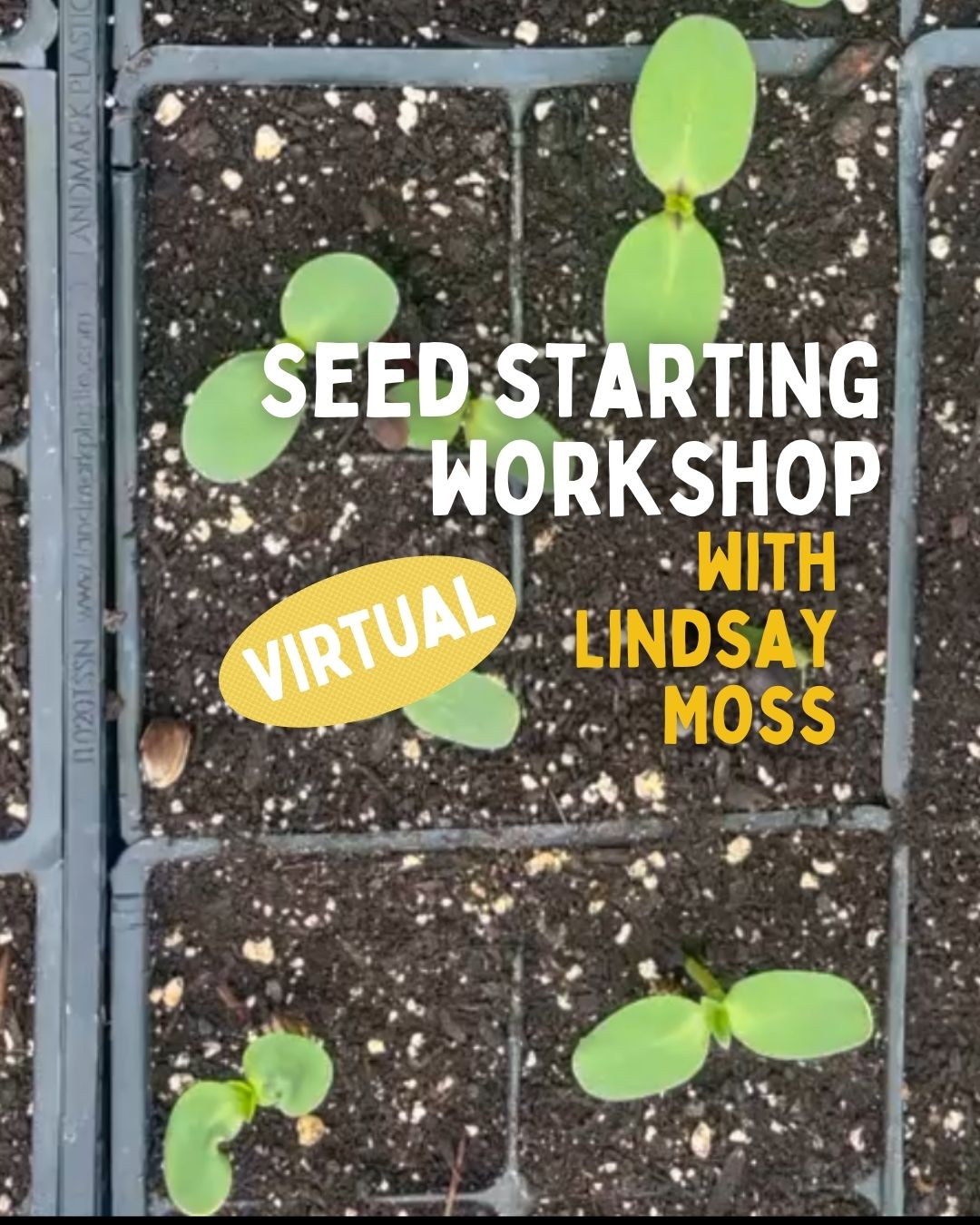 Virtual Seed Starting Class with Lindsay Moss - Zoom Recording