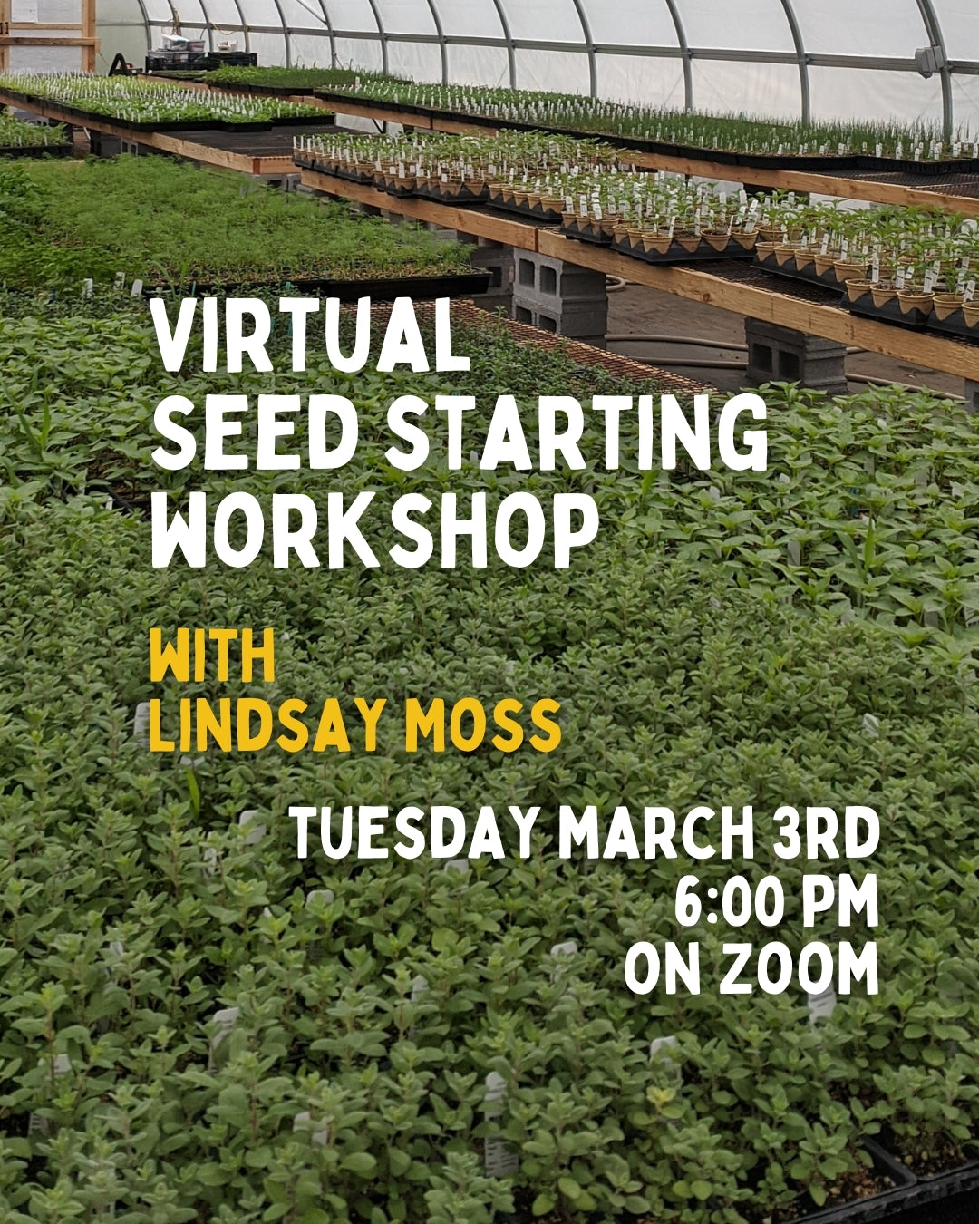 Virtual Seed Starting Class with Lindsay Moss 3/3 6PM