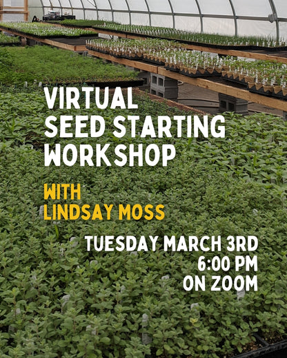 Virtual Seed Starting Class with Lindsay Moss 3/3 6PM
