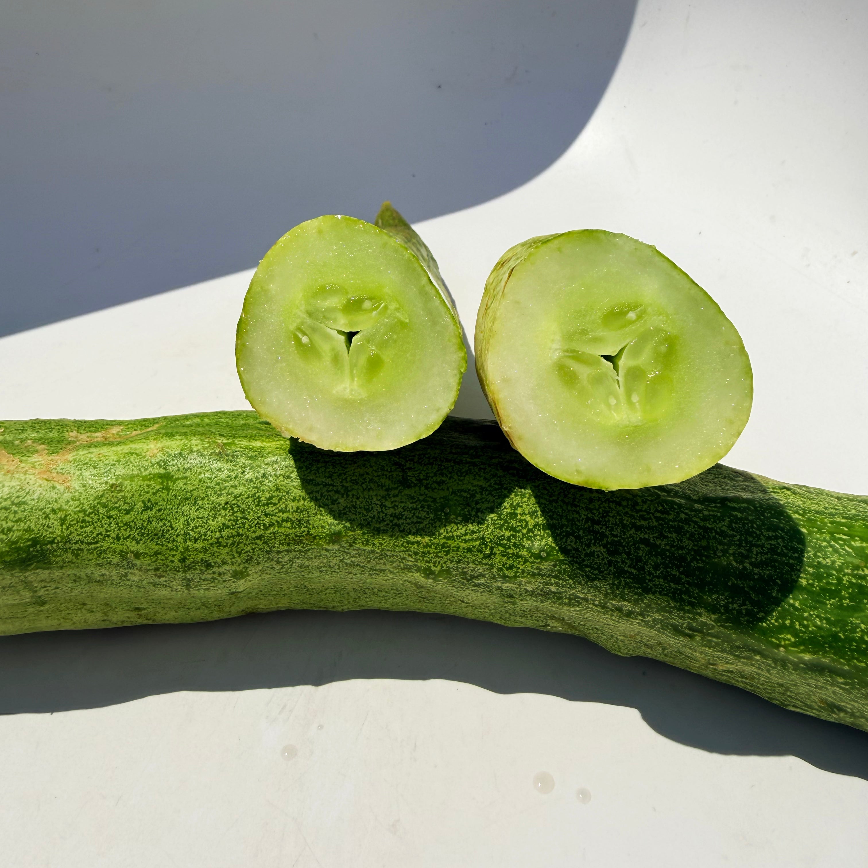 Yamato Sanjaku Cucumber