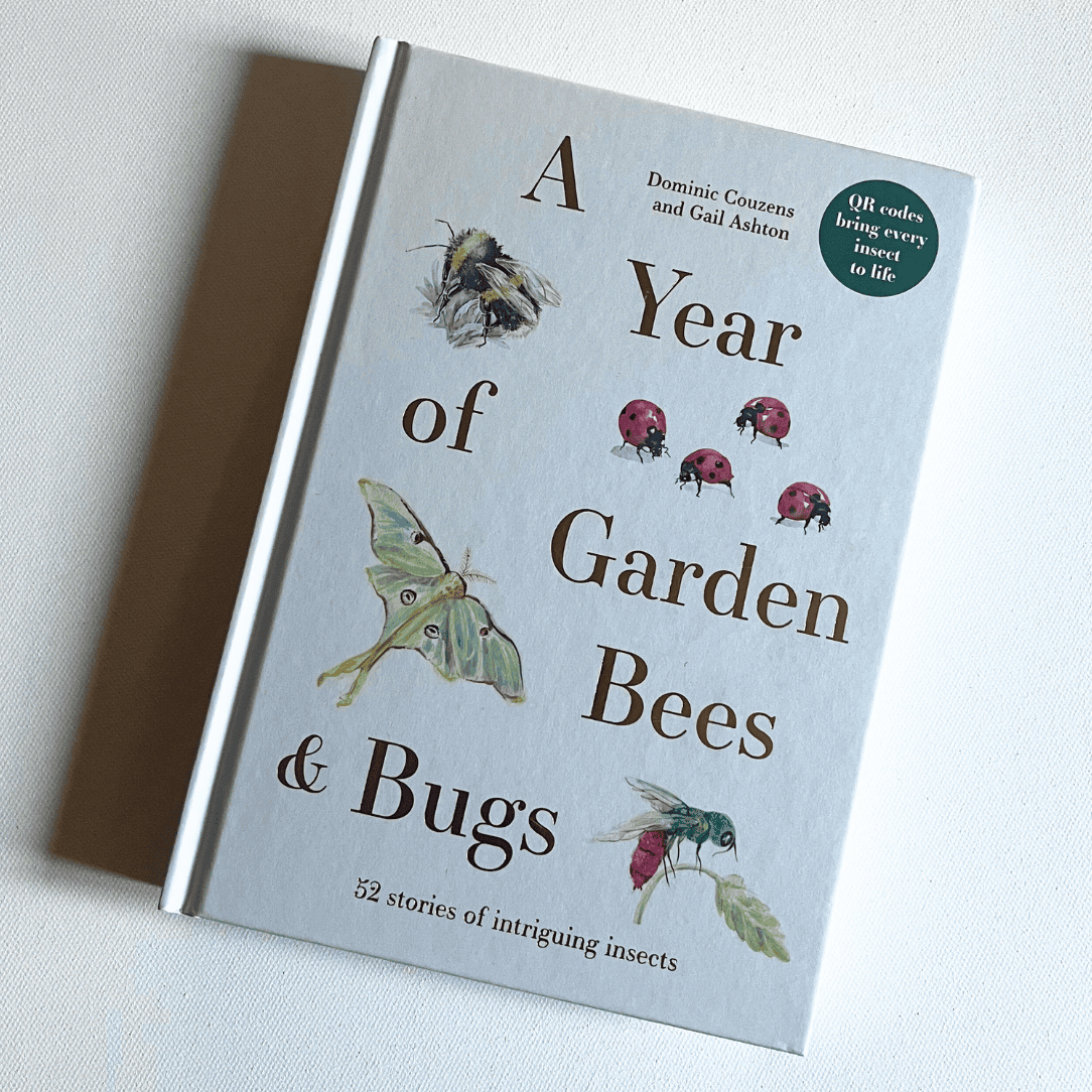 A Year of Garden Bees and Bugs