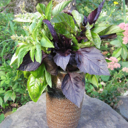 Basil Bouquet